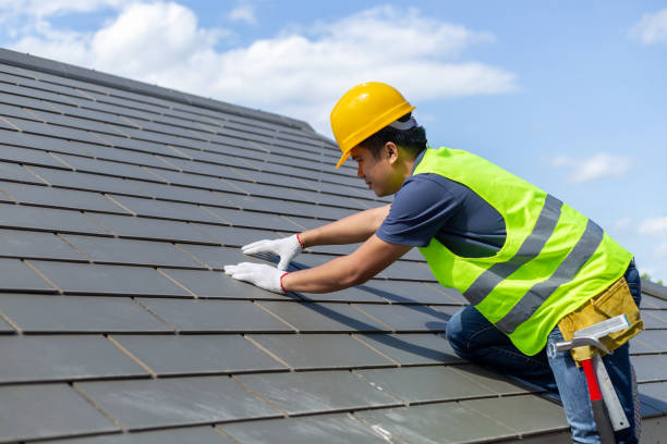 Best Best Roofing Contractors  in Morrice, MI
