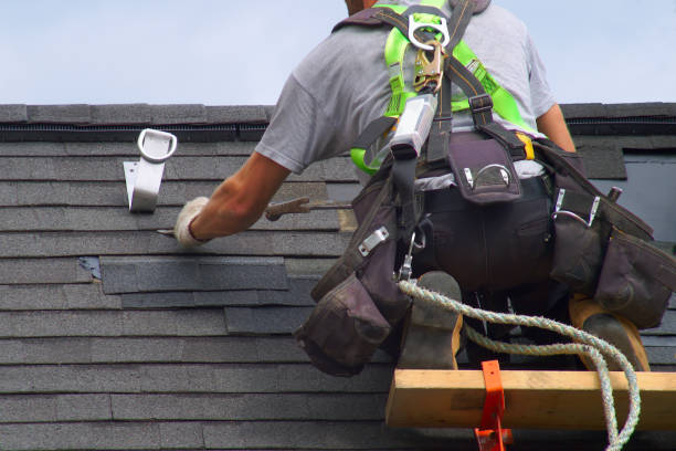 Best Roof Leak Repair  in Morrice, MI
