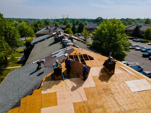 Best Roof Gutter Cleaning  in Morrice, MI