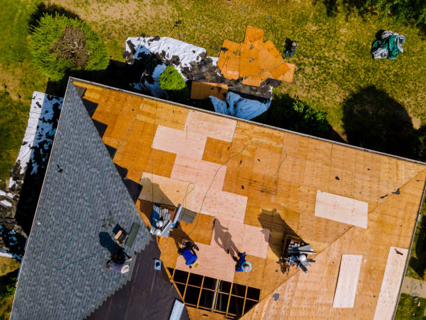 Best Local Roofing Companies  in Morrice, MI