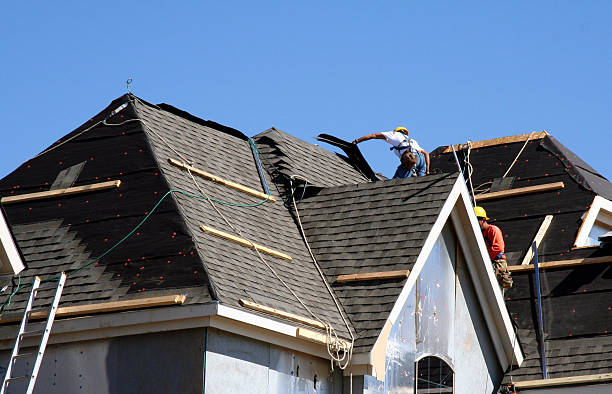 Best Affordable Roofing Company  in Morrice, MI