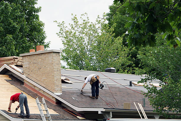 Roof Gutter Cleaning in Morrice, MI
