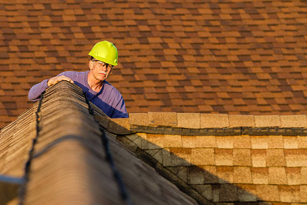 Best New Roof Installation  in Morrice, MI