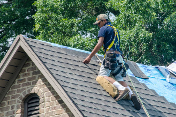 Quick and Trustworthy Emergency Roof Repair Services in Morrice, MI