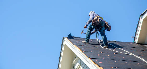 Best Affordable Roofing Company  in Morrice, MI